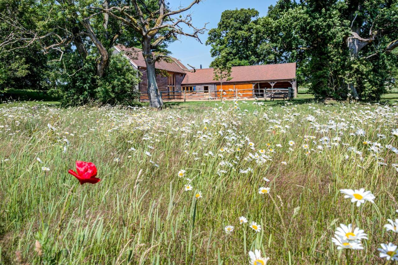 South Park Farm Barn Bed & Breakfast Andover Exterior photo