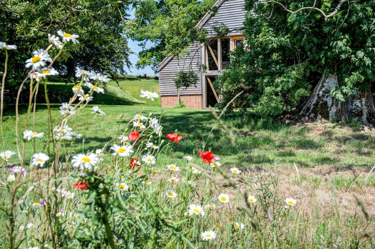 South Park Farm Barn Bed & Breakfast Andover Exterior photo